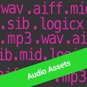 Audio Assets